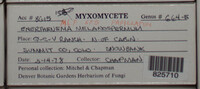 Image Associated With the Occurence